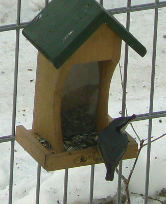 Kleiber_100124_a.jpg