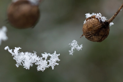 Schneekette-Jan2410.jpg