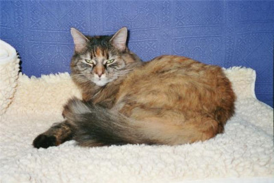 Mimi.Sofa.jpg