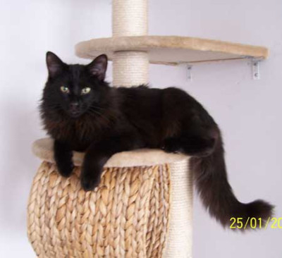 jasper-25.01.jpg