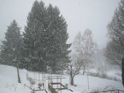 Schneetreiben_28.01.10.jpg