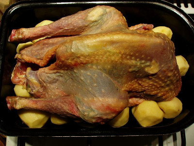 perlhuhn_I_zg.jpg