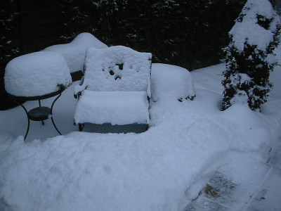 Schnee__1_29.01.10.jpg