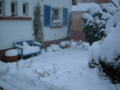 Schnee_2_29.01.10.jpg