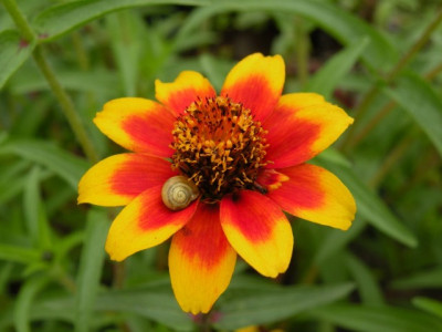 DSCN3506.JPG