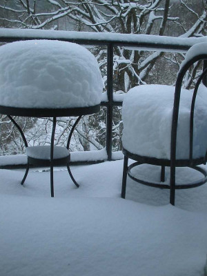 schneeweich_30.01.10.jpg