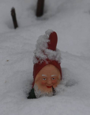 Fritz-Schnee-0098-klein.jpg