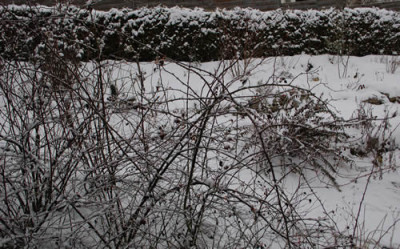 Fensterblick_heute__2772.jpg