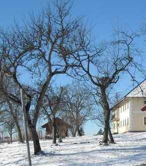 DSCN4483_glatzkogl.jpg