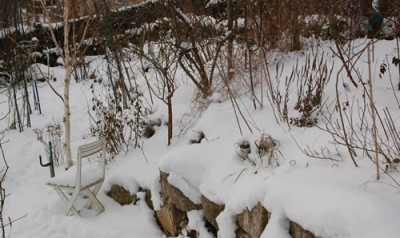 Schnee_im_Februar_0010_2785.jpg