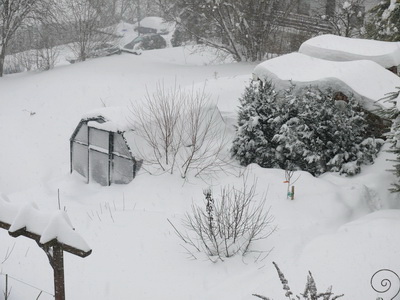 Garten_Gewachshaus.jpg