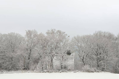 Schnee-Feb0310.jpg