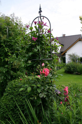 Cl.int.Pangbourne_Pink0307a.jpg