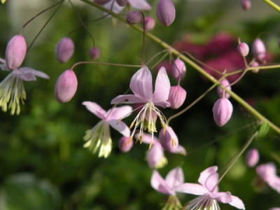 DSCN2048.JPG
