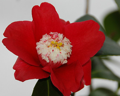 DSC_0623.jpg