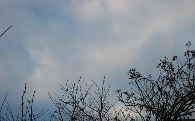Graublauer_Himmel_0010__2800.jpg