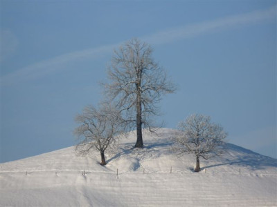 09.02.2010.10.JPG
