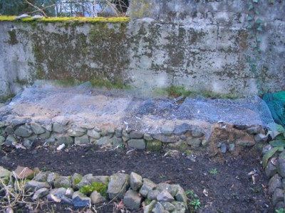 Fritillarien_Beet.jpg