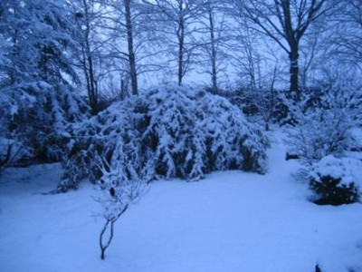 Februar_021.jpg