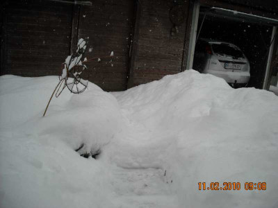 DSCN4632.jpg