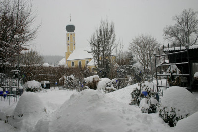 Feb.05010.jpg