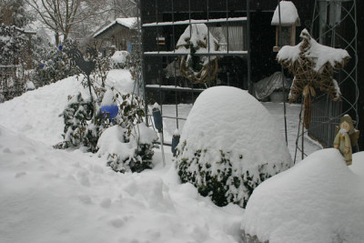 Feb.02010.jpg