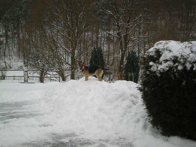 falko_schneespass.jpg