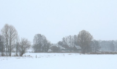 clamannaufderheideIMG_2316_640x480.jpg
