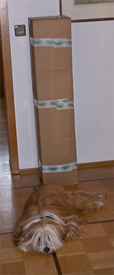 Mausefalle-Feb1210.jpg