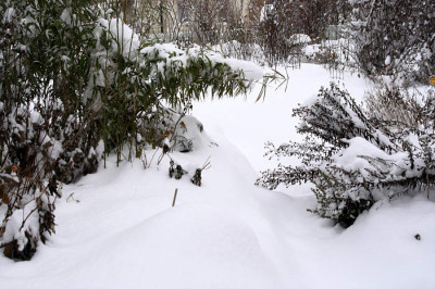 aIMG_0205.jpg