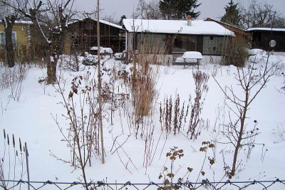 20100213_zg2.jpg