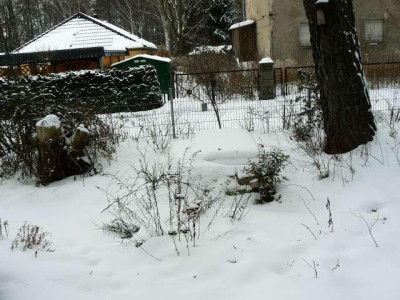 Vorgarten_100213.jpg