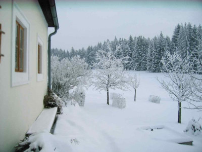 hauswinter101.jpg