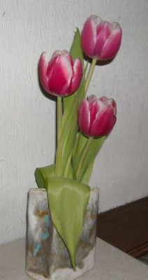 DSCN4635.jpg