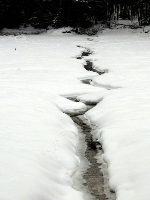 P1250047.JPG