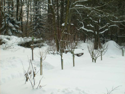 Winterwildnis_14022010.jpg