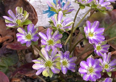 DSCN4043b002.jpg