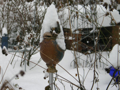 Feb.22010.jpg
