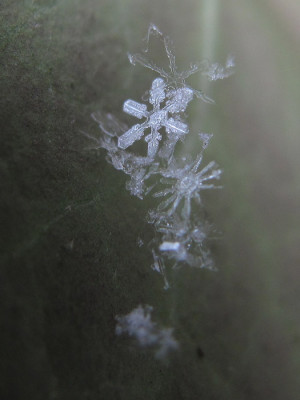 eiskristall_feb_13.jpg