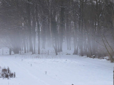 Nebel_ue.jpg