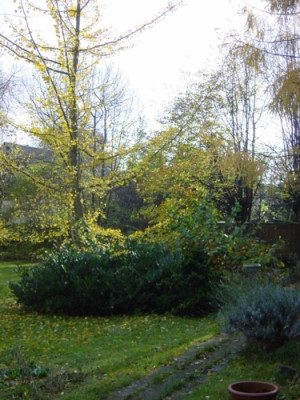 garten_005.jpg