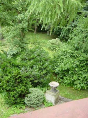 Sommer_046.jpg