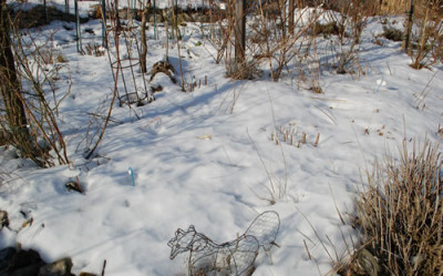 Garteneinblick_im_Winter_0010_2792.jpg