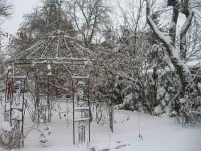 Winter_2010.jpg