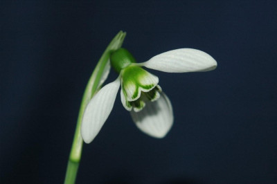 15._02._2010_002.jpg