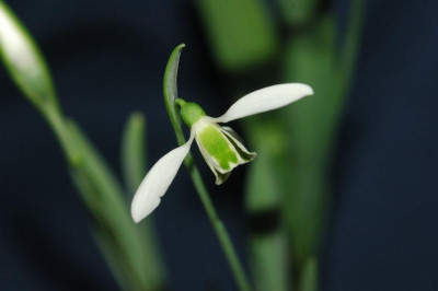 15._02._2010_006.jpg
