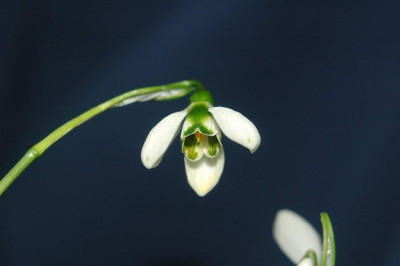 15._02._2010_008.jpg