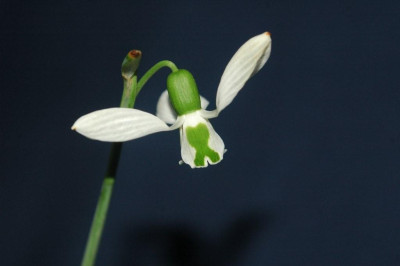 15._02._2010_010.jpg