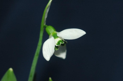 15._02._2010_013.jpg