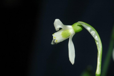 15._02._2010_015.jpg